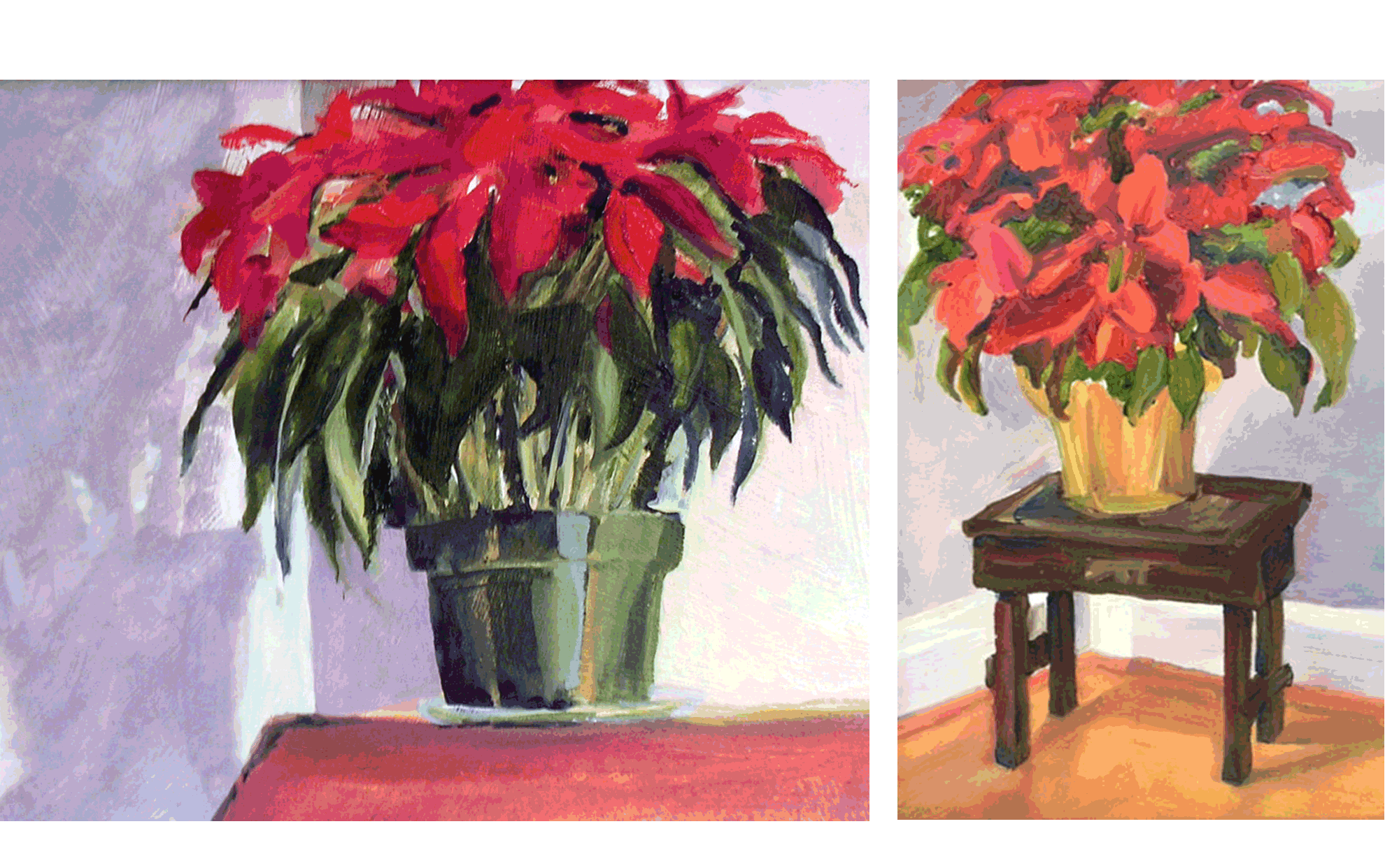 Pointsettias