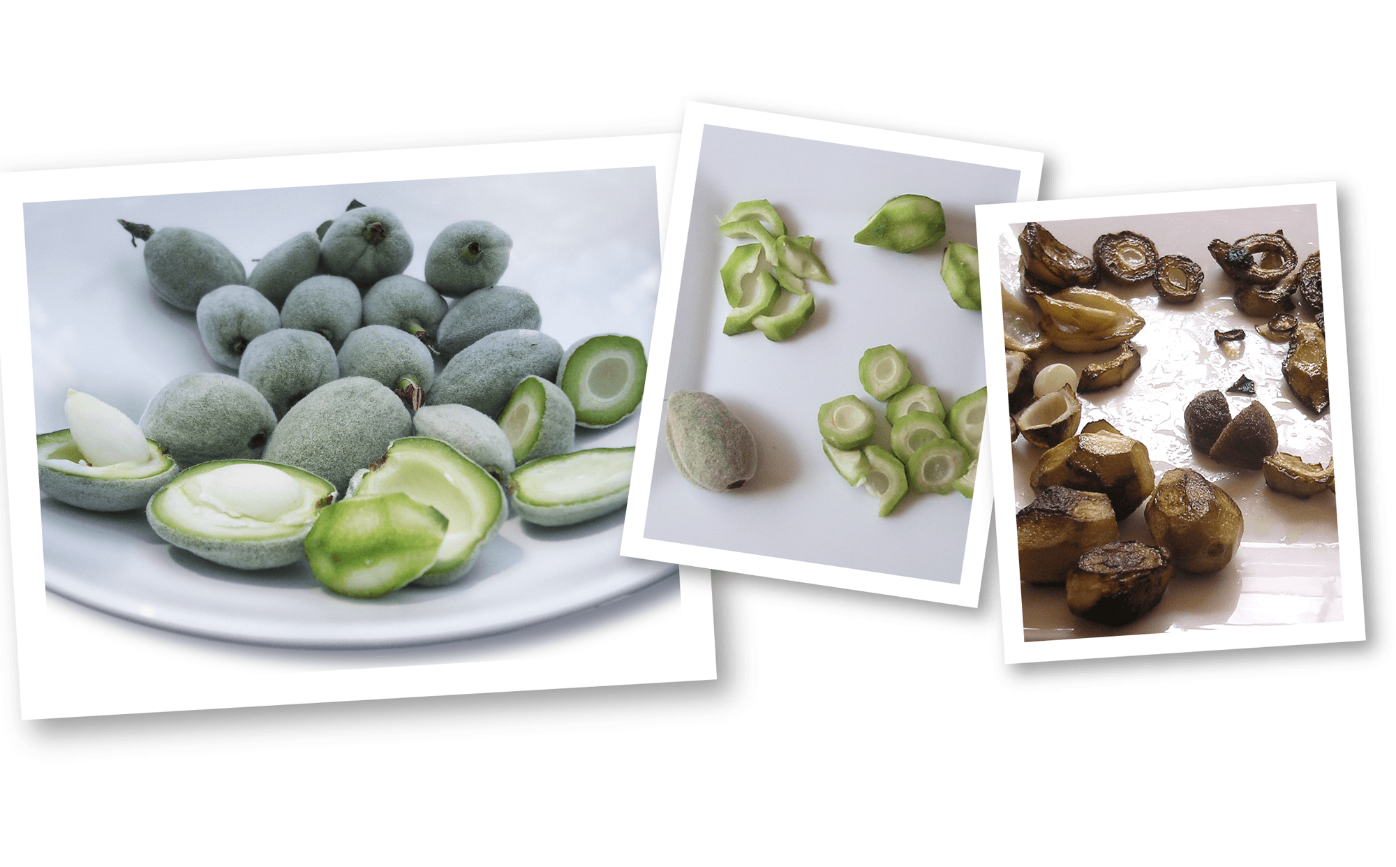 Fresh Green Almonds